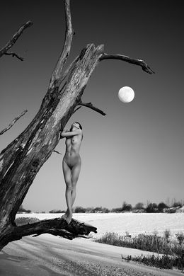 Photographie, Thirst for life 2, Majo Jurcik