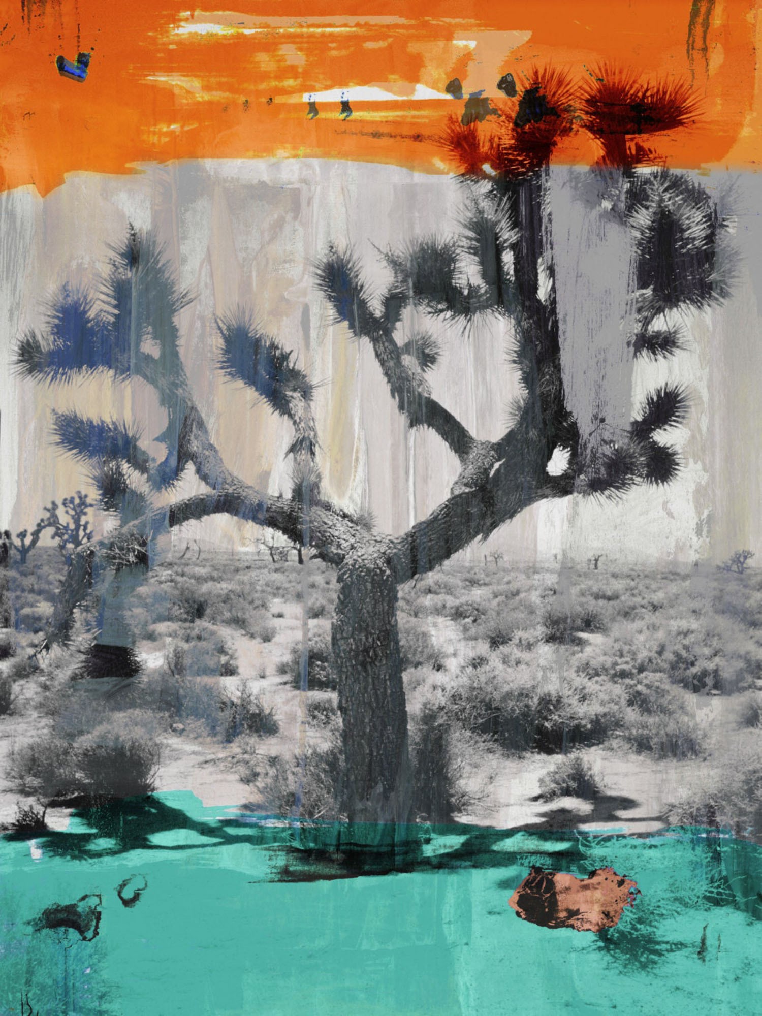 Sven Pfrommer, Joshua Tree II Sven Pfrommer, Joshua Tree II