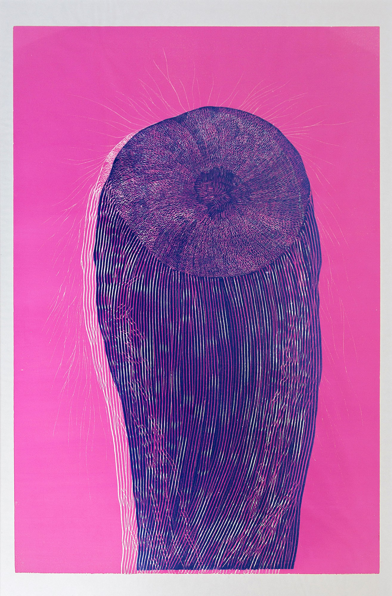 Marie-Noëlle Deverre, Porifera Marie-Noëlle Deverre, Porifera