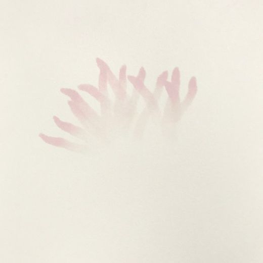 Kiki Smith