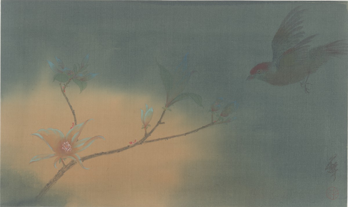 Shaohui Tu, The Garden Code Shaohui Tu, The Garden Code