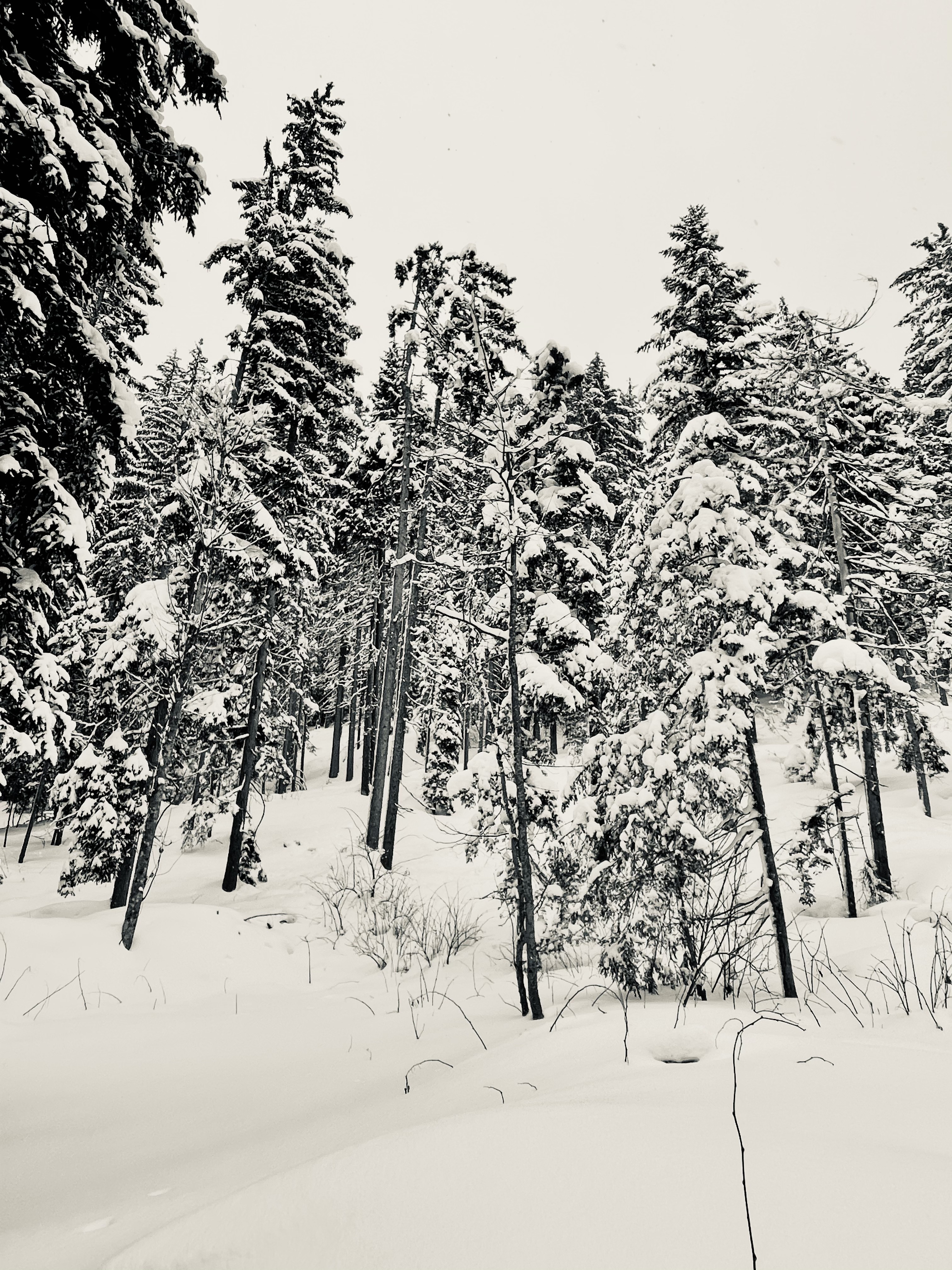 Adrianna MJW, Megeve winter Adrianna MJW, Megeve winter