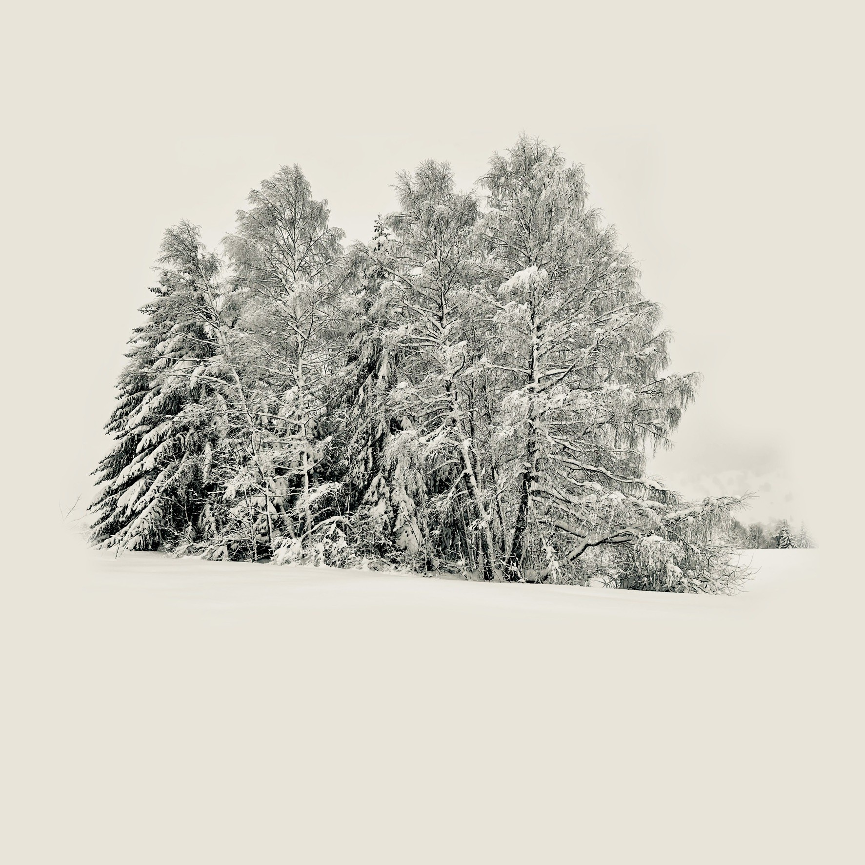 Adrianna MJW, Megeve Winter Adrianna MJW, Megeve Winter