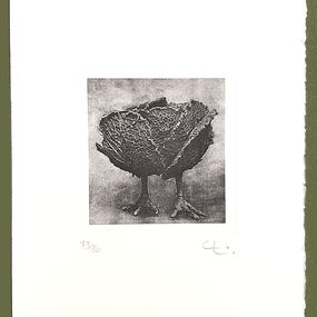 François-Xavier Lalanne, Histoires naturelles, Choupatte + En Puisaye François-Xavier Lalanne, Histoires naturelles, Choupatte + En Puisaye