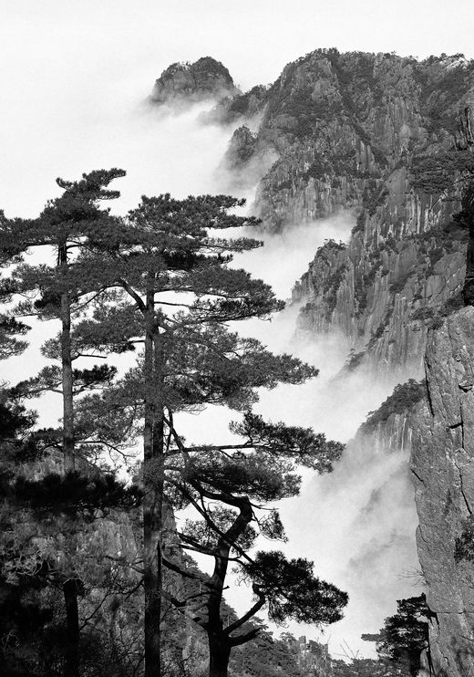 Wang Wusheng