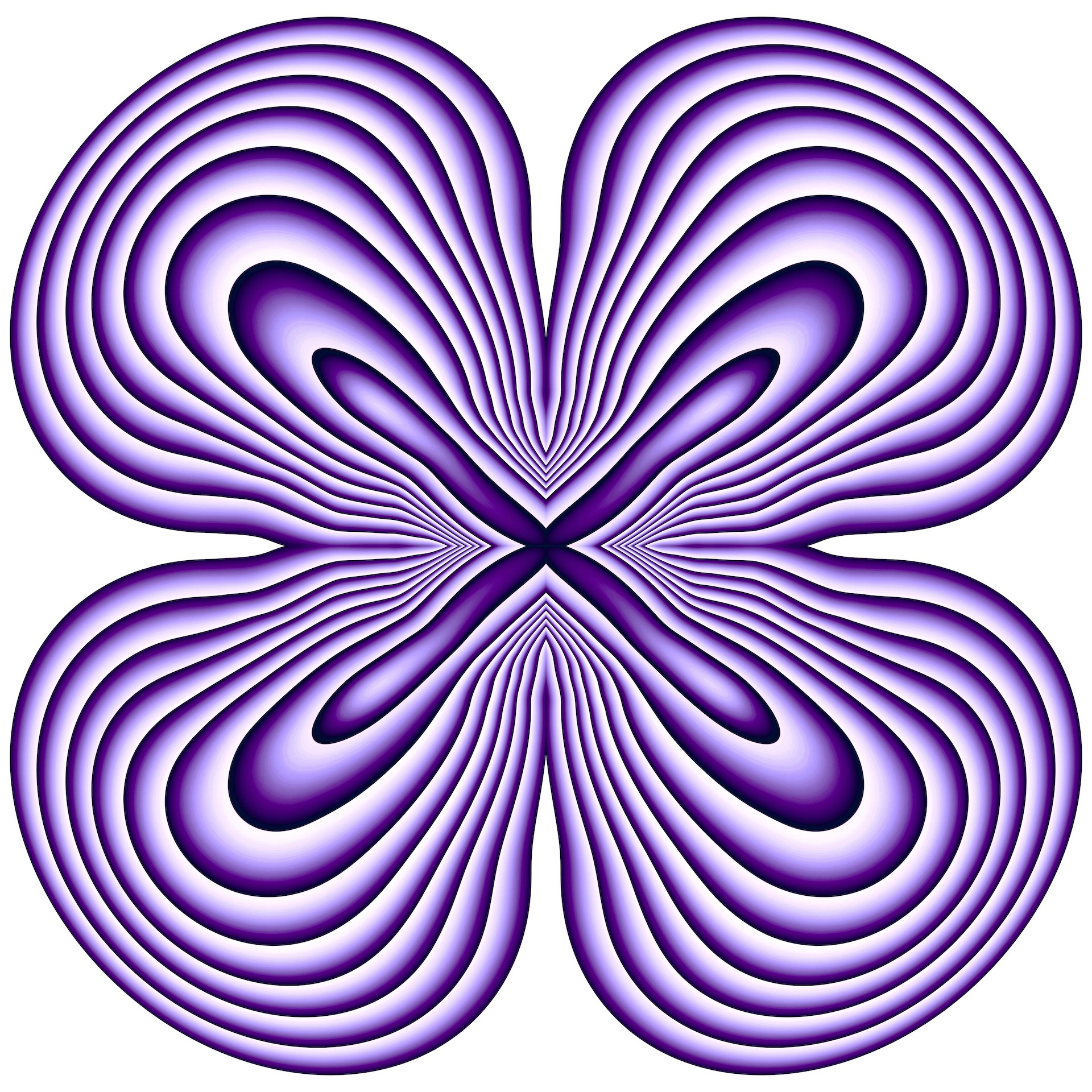 Sumit Mehndiratta, Power Flower 3 Sumit Mehndiratta, Power Flower 3