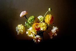 Flower, flower, flower, Jihun Ju