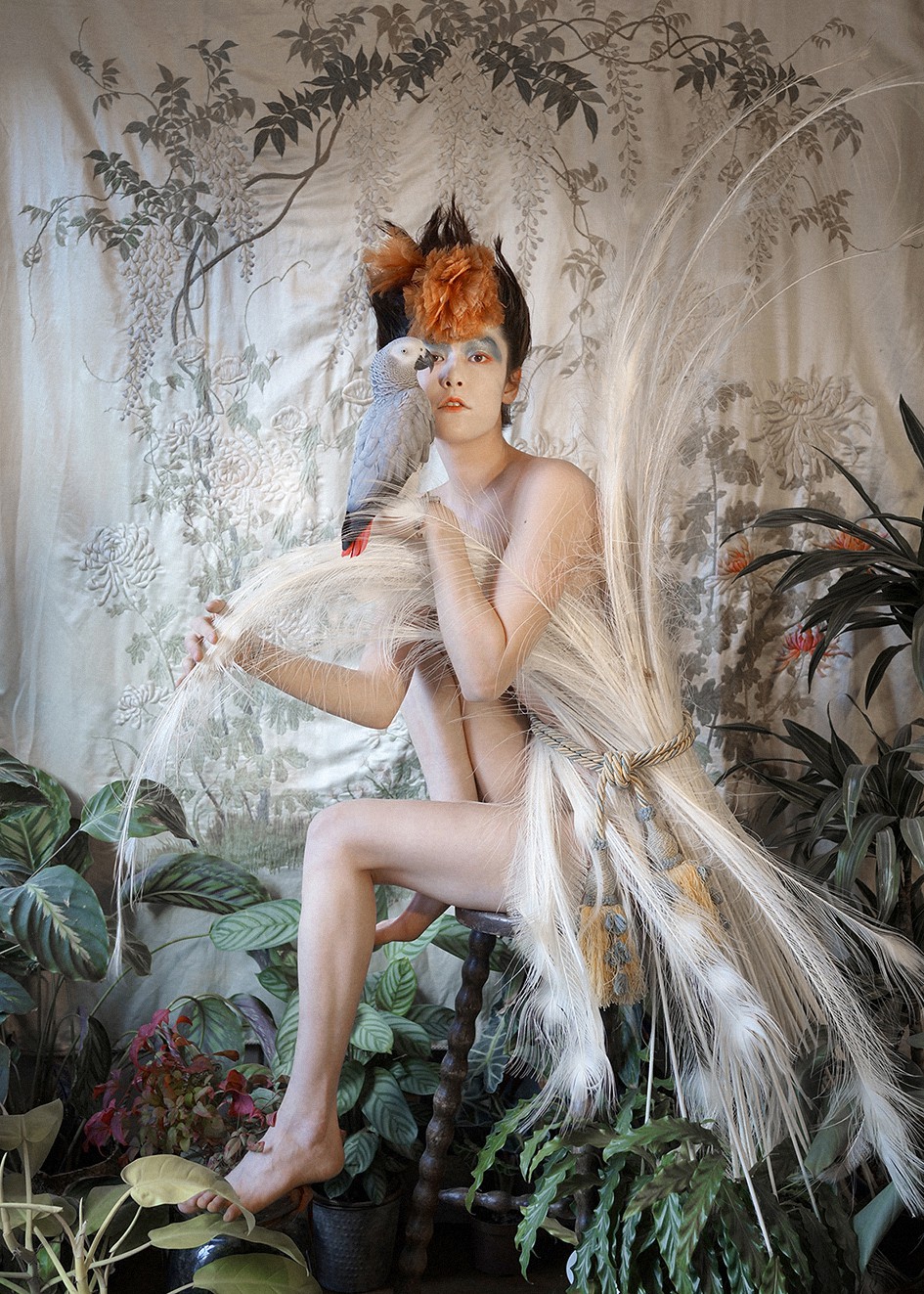 Ken Yang, Paradise Bird Ken Yang, Paradise Bird