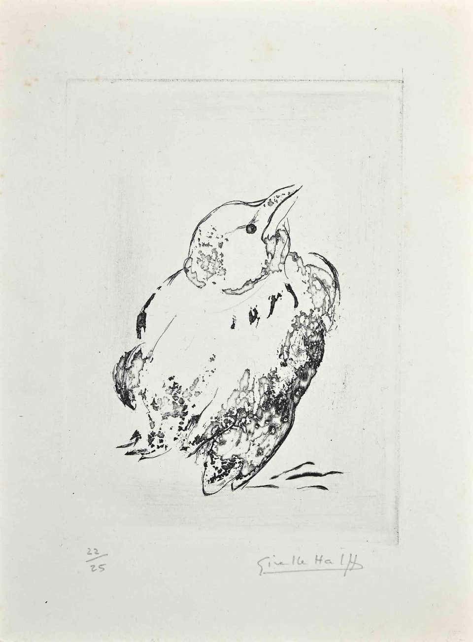 Giselle Hallf, Pigeon Giselle Hallf, Pigeon