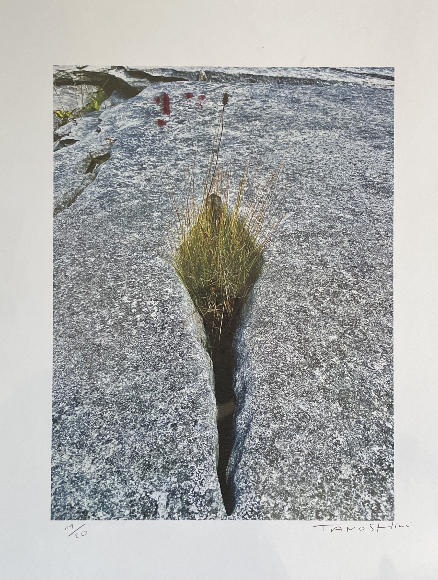 Tano Shimi, Failles #01 Irlande Tano Shimi, Failles #01 Irlande
