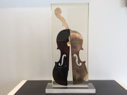 Violon, Arman