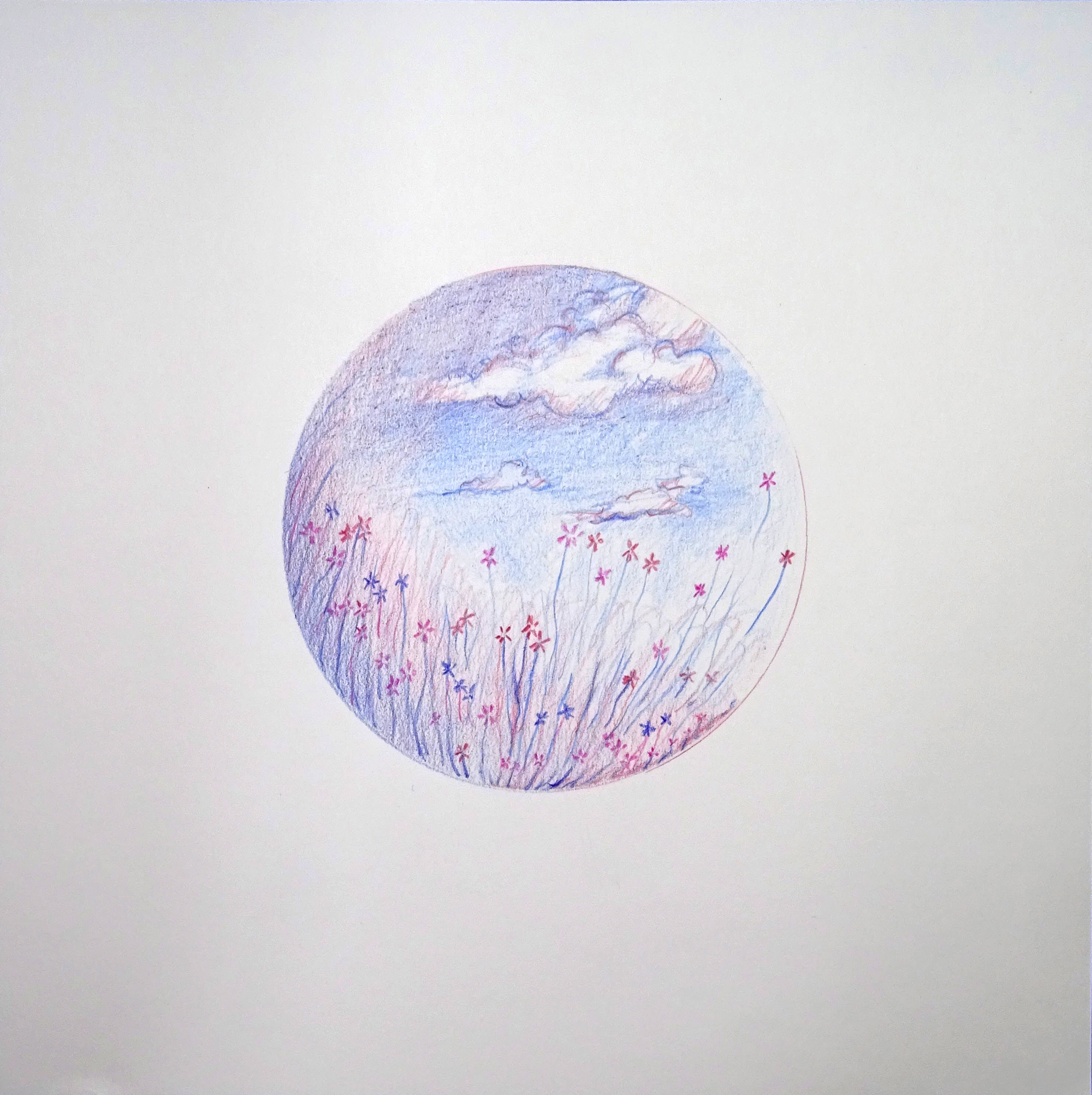 Nef, Dream bubble Nef, Dream bubble