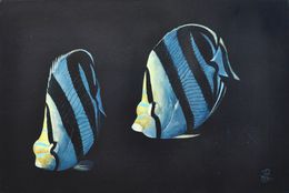 Banded Butterfly couple, Patrick Chevailler