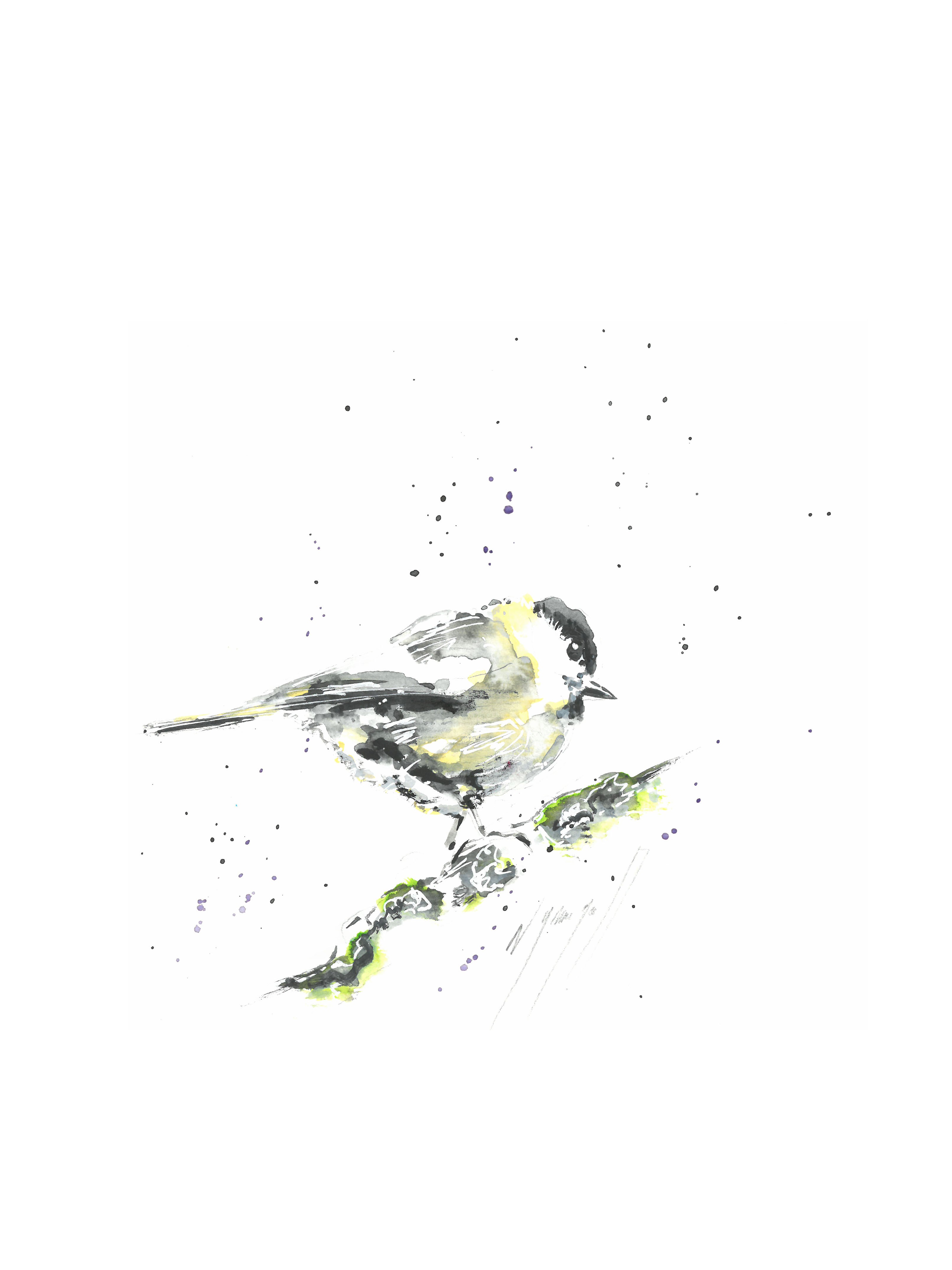Noël Granger, La Mésange du jardin Noël Granger, La Mésange du jardin