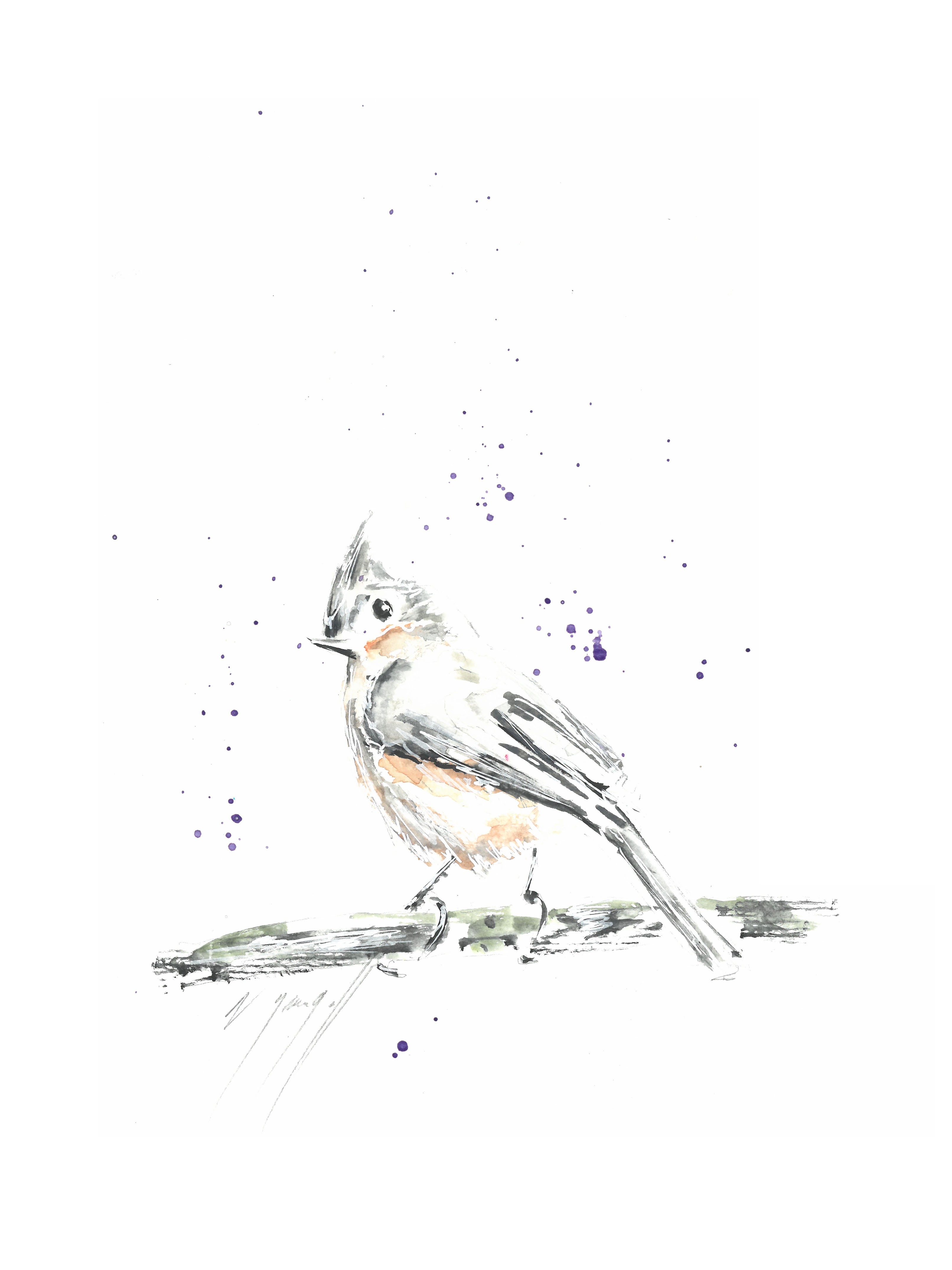 Noël Granger, La Mésange Huppée Noël Granger, La Mésange Huppée