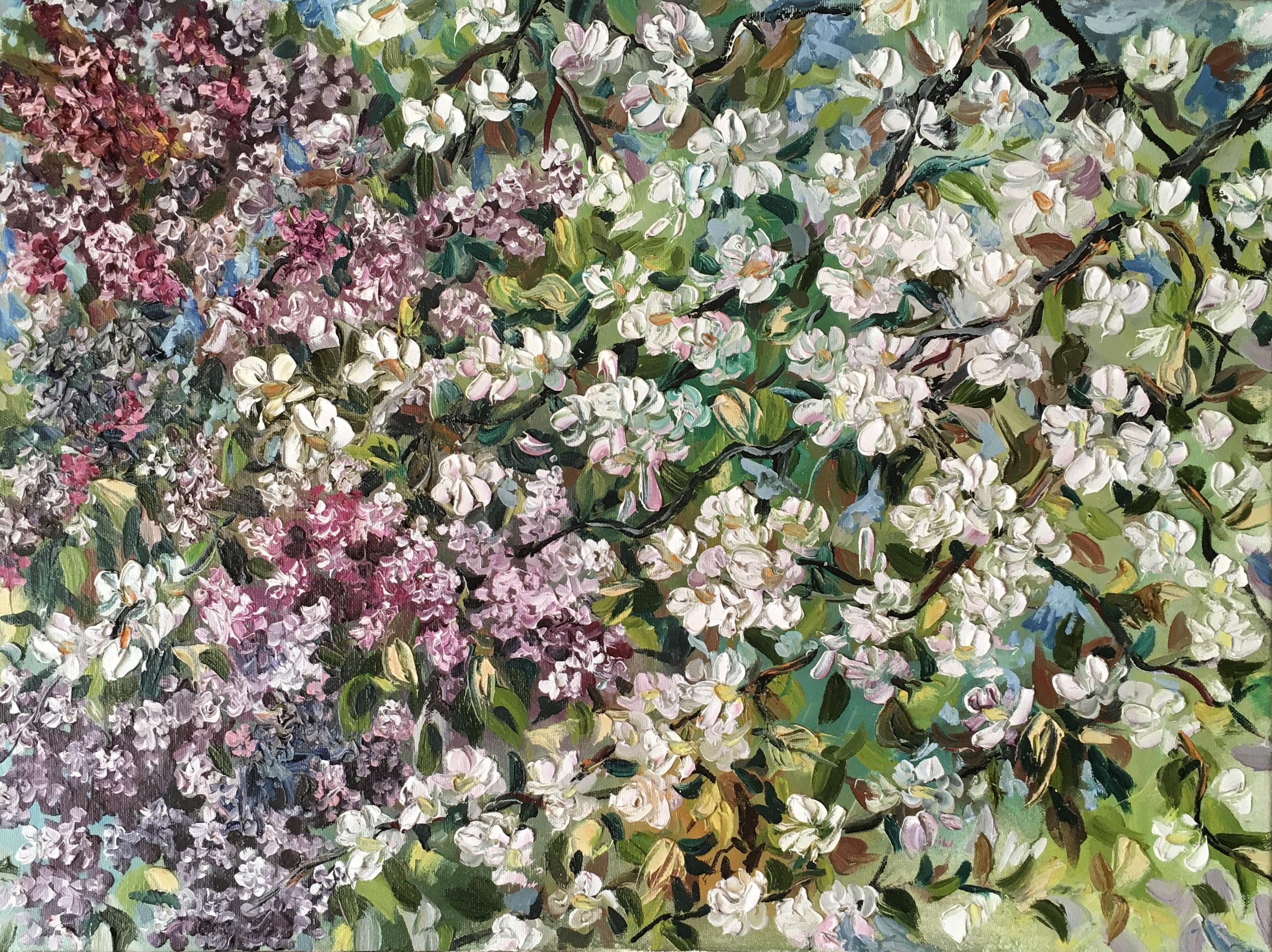 Olga Buchkovska, Spring blossom Olga Buchkovska, Spring blossom