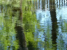 Magie sur l'eau 2, Monique Anna Michel