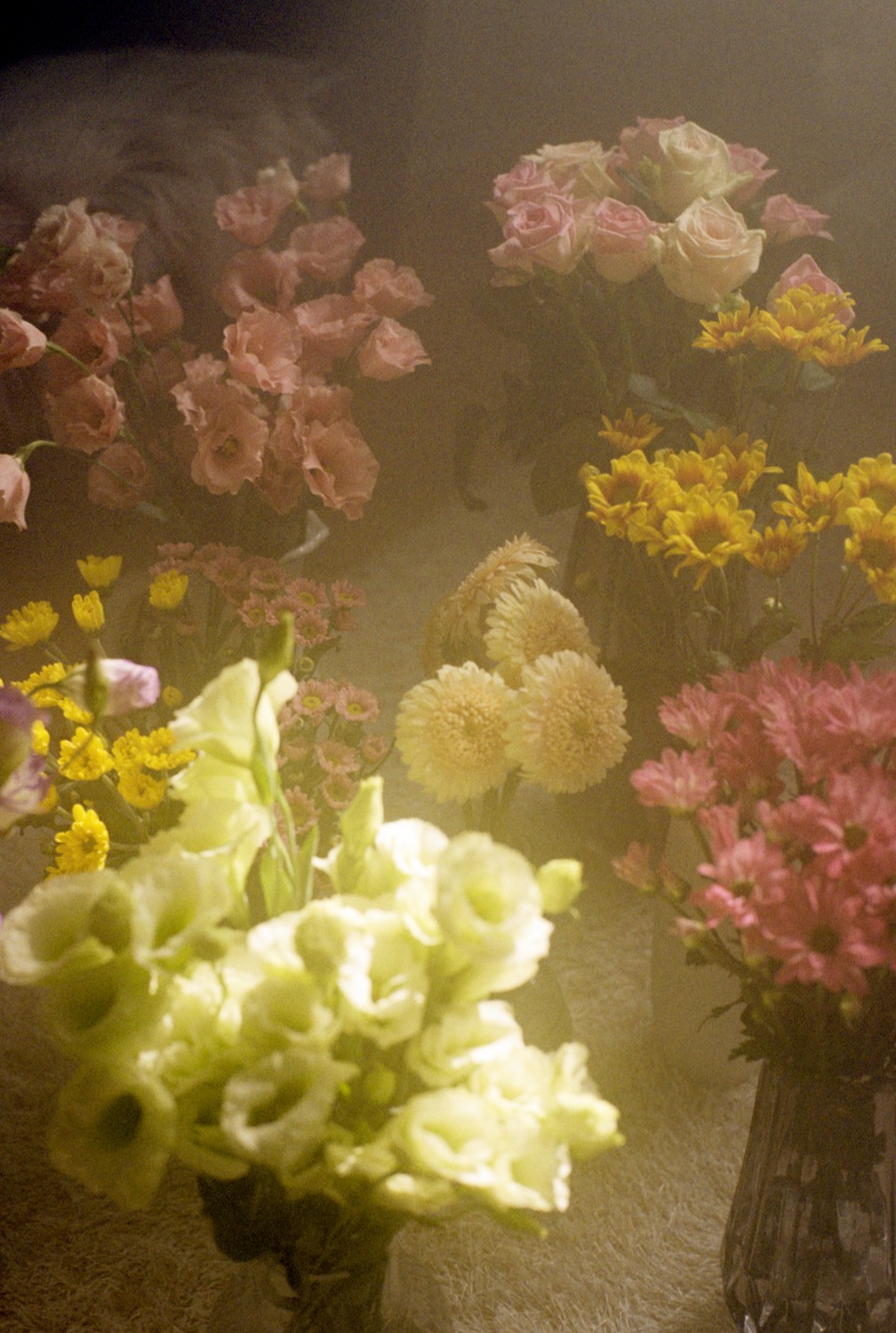 Jihun Ju, Flower poem: flowers Jihun Ju, Flower poem: flowers