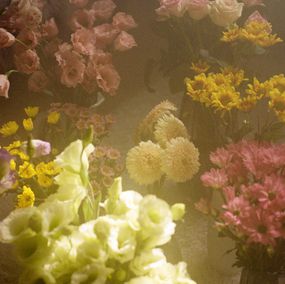 Jihun Ju, Flower poem: flowers Jihun Ju, Flower poem: flowers