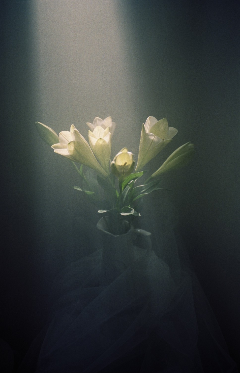 Jihun Ju, Flower poem: shine Jihun Ju, Flower poem: shine