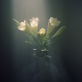 Jihun Ju, Flower poem: shine Jihun Ju, Flower poem: shine