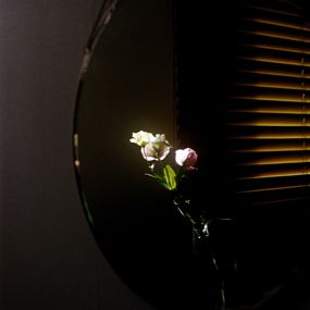 Jihun Ju, Flower poem: lisianthus Jihun Ju, Flower poem: lisianthus