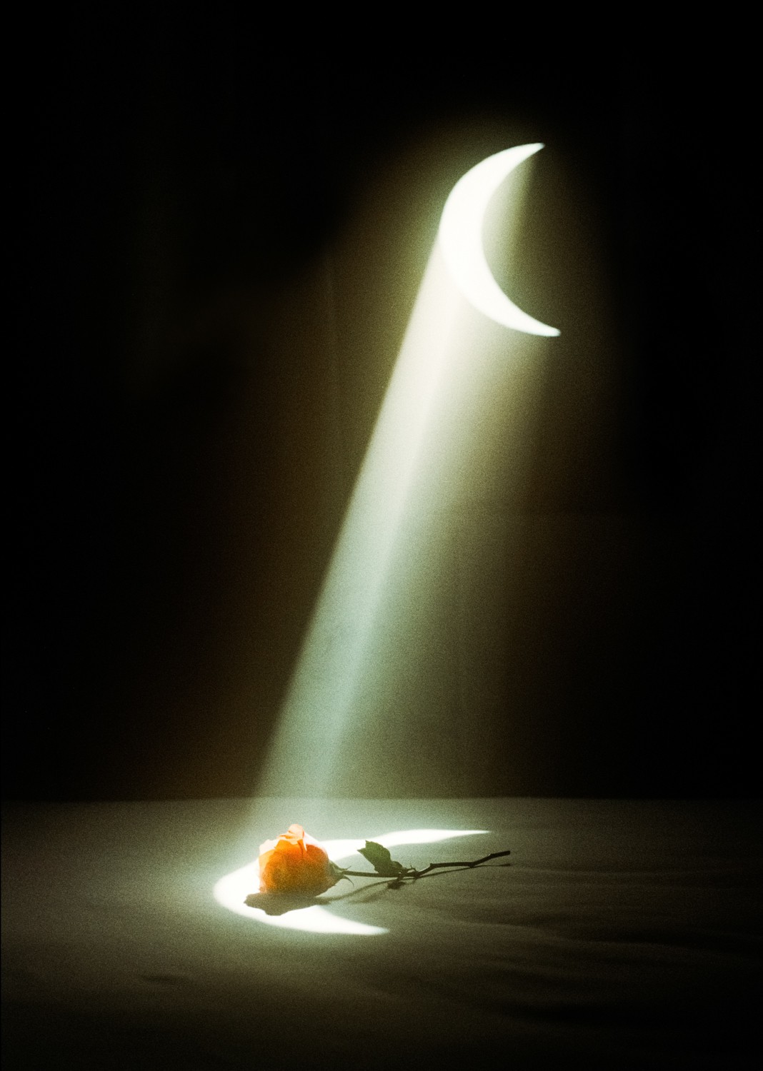 Jihun Ju, Flower poem: the muse Jihun Ju, Flower poem: the muse