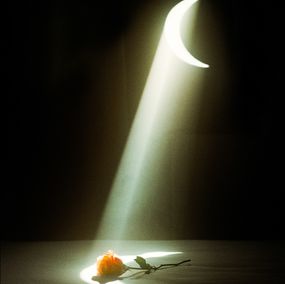 Jihun Ju, Flower poem: the muse Jihun Ju, Flower poem: the muse
