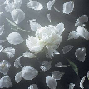 Jihun Ju, Flower poem: eternity Jihun Ju, Flower poem: eternity