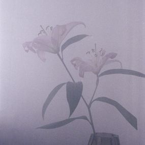 Jihun Ju, Flower poem: lilies in the fog Jihun Ju, Flower poem: lilies in the fog