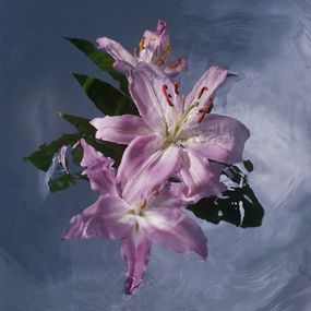 Jihun Ju, Flower poem: shaking Jihun Ju, Flower poem: shaking
