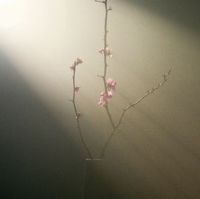 Jihun Ju, Flower poem: flowering quince Jihun Ju, Flower poem: flowering quince