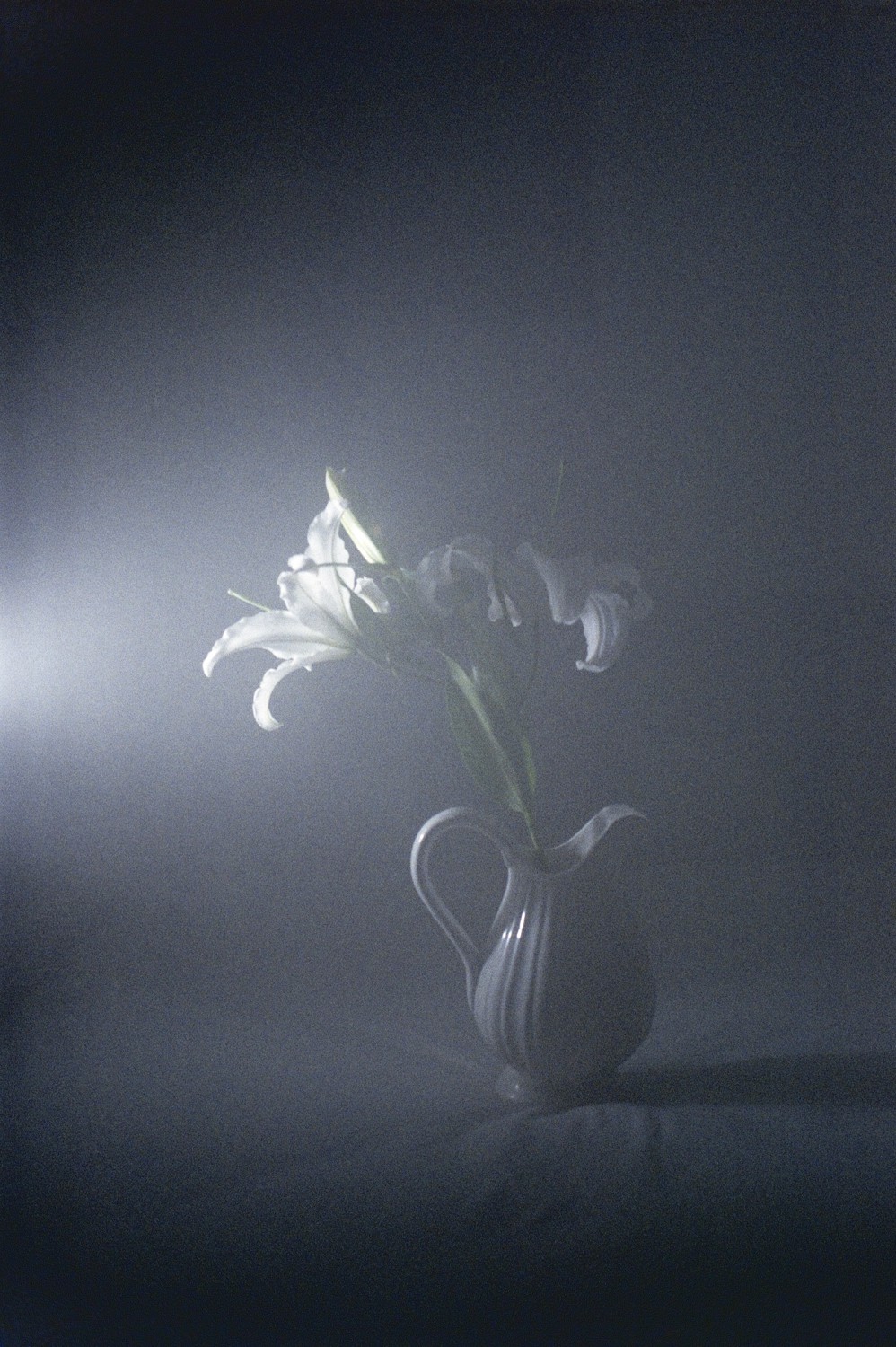 Jihun Ju, Flower poem: noble Jihun Ju, Flower poem: noble