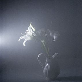 Jihun Ju, Flower poem: noble Jihun Ju, Flower poem: noble