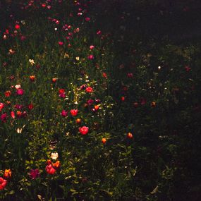Jihun Ju, Flower poem: tulips Jihun Ju, Flower poem: tulips