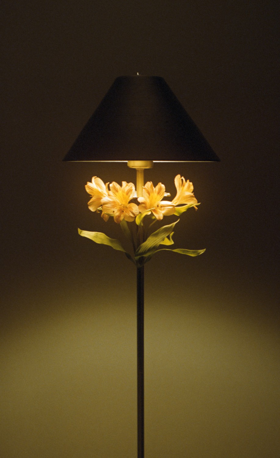 Jihun Ju, Flower poem: your warmth Jihun Ju, Flower poem: your warmth