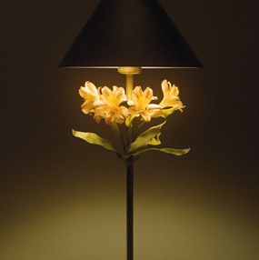Jihun Ju, Flower poem: your warmth Jihun Ju, Flower poem: your warmth