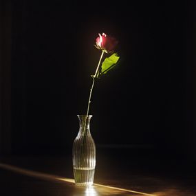 Jihun Ju, Flower poem: rose Jihun Ju, Flower poem: rose