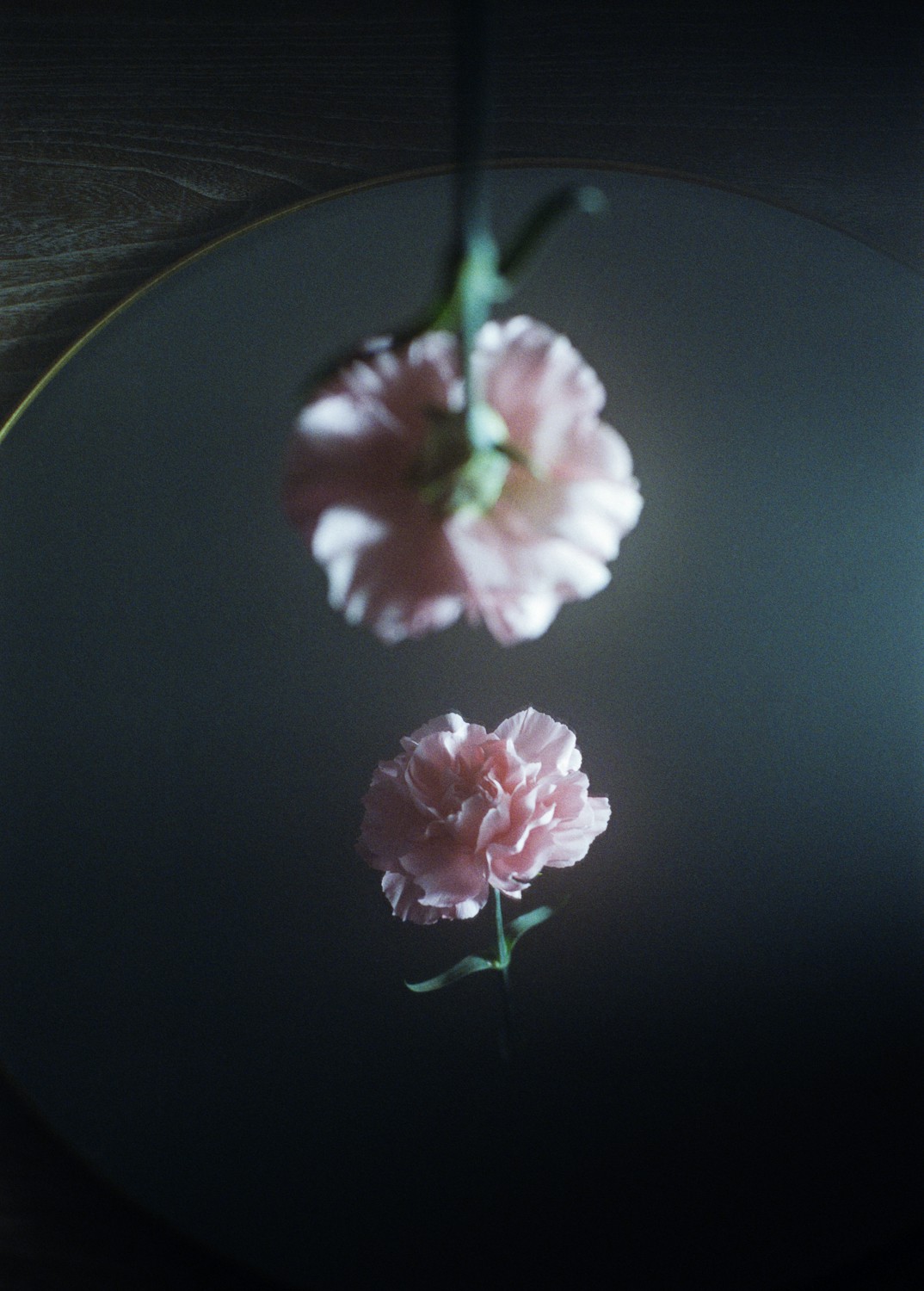 Jihun Ju, Flower Poem: The untouchable Jihun Ju, Flower Poem: The untouchable