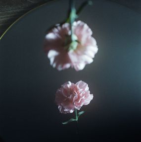Jihun Ju, Flower Poem: The untouchable Jihun Ju, Flower Poem: The untouchable