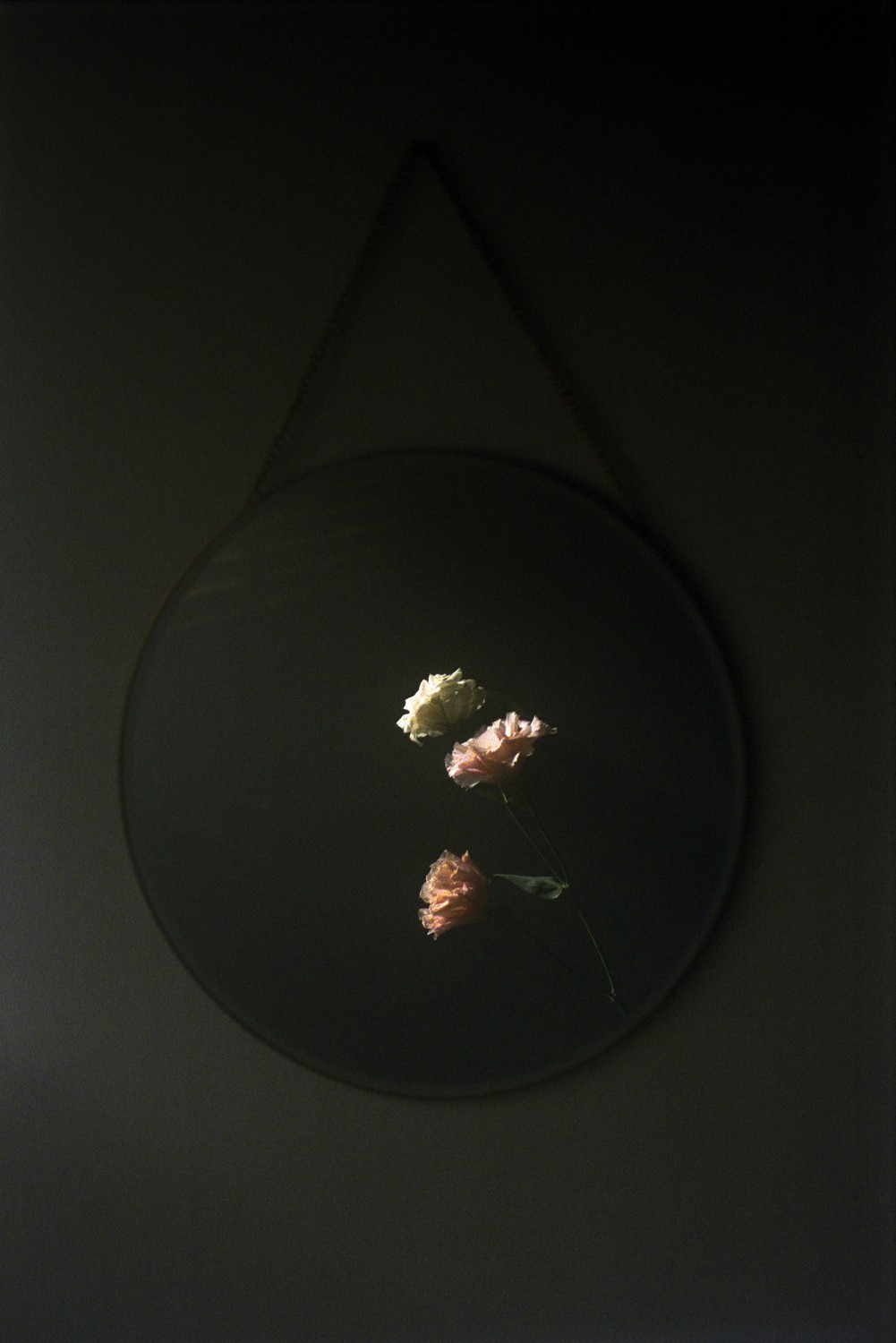 Jihun Ju, Flower poem: hiding Jihun Ju, Flower poem: hiding