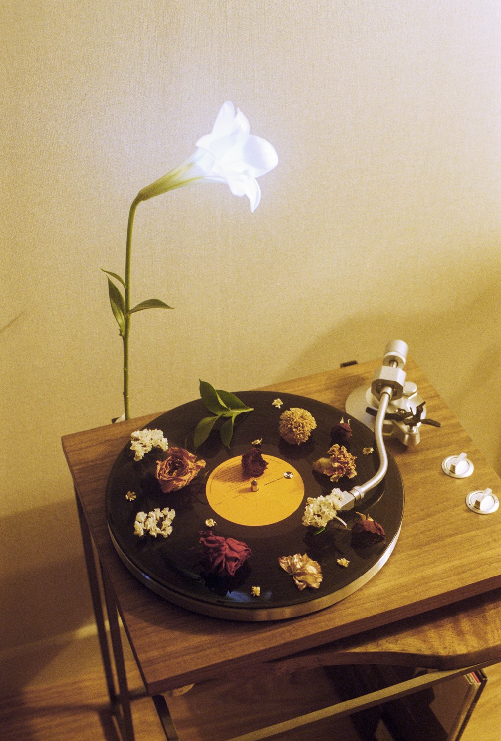 Jihun Ju, Flower poem: beautiful playing Jihun Ju, Flower poem: beautiful playing