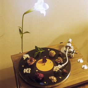Jihun Ju, Flower poem: beautiful playing Jihun Ju, Flower poem: beautiful playing