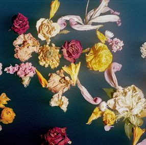 Jihun Ju, Flower poem: farewell Jihun Ju, Flower poem: farewell