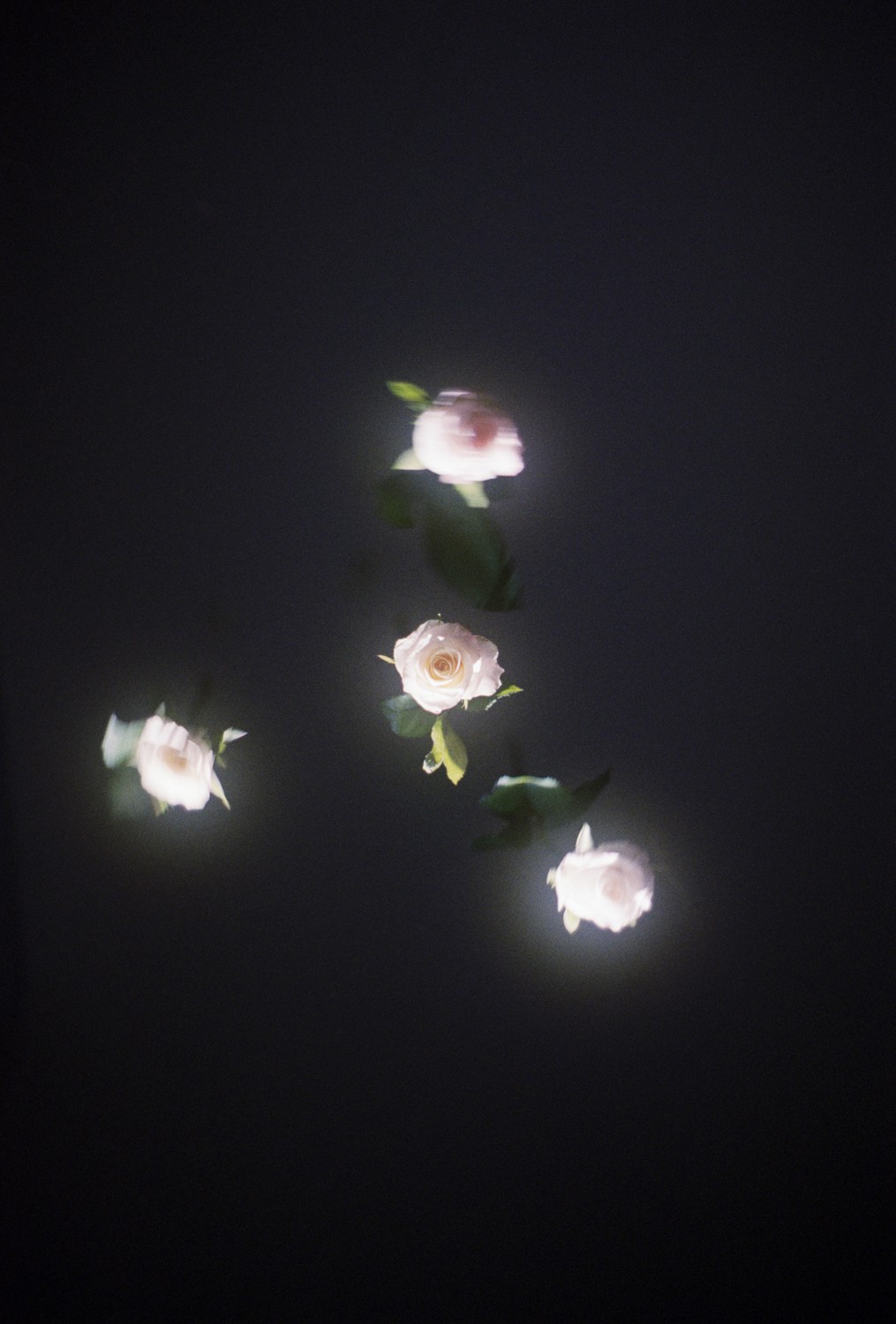 Jihun Ju, Flower poem: my will Jihun Ju, Flower poem: my will