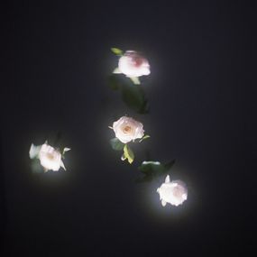 Jihun Ju, Flower poem: my will Jihun Ju, Flower poem: my will