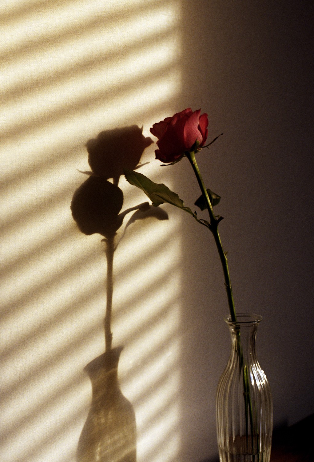 Jihun Ju, Flower poem: soulmate Jihun Ju, Flower poem: soulmate