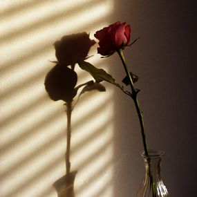Jihun Ju, Flower poem: soulmate Jihun Ju, Flower poem: soulmate