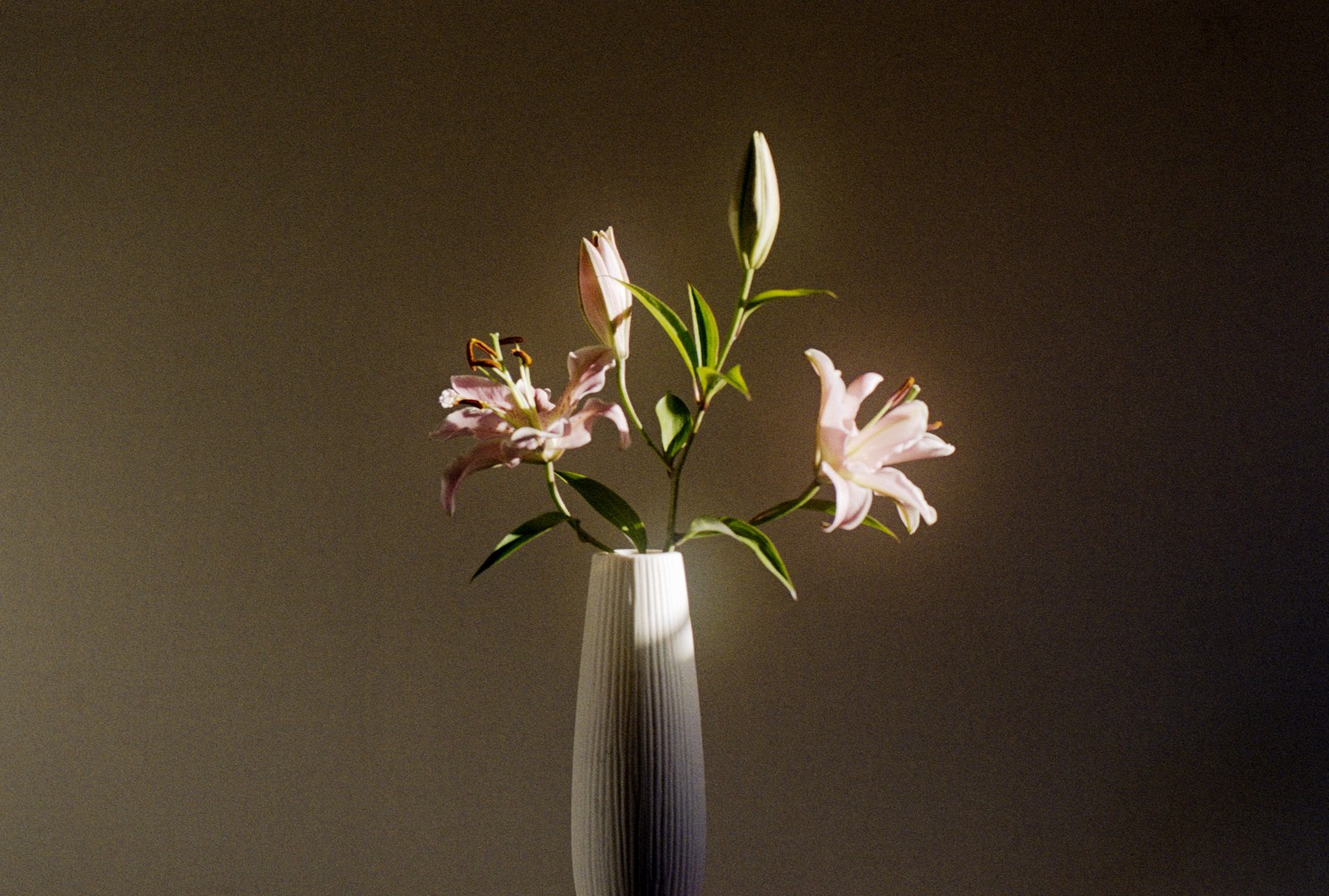 Jihun Ju, Flower poem: really lily Jihun Ju, Flower poem: really lily