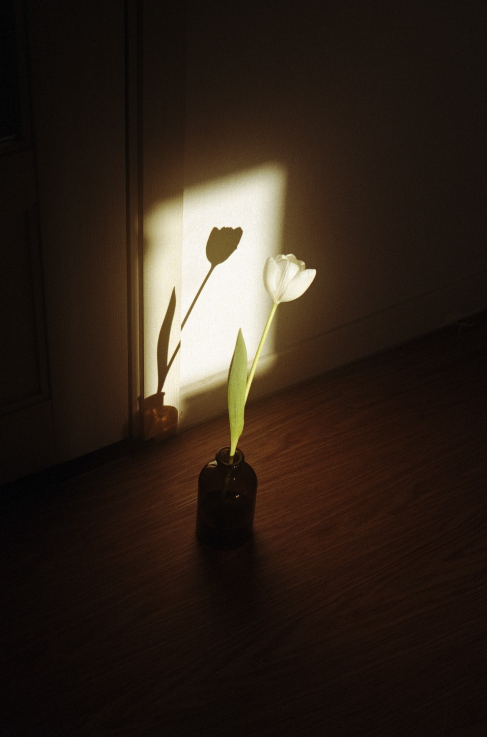 Jihun Ju, Flower poem: soulmate Jihun Ju, Flower poem: soulmate